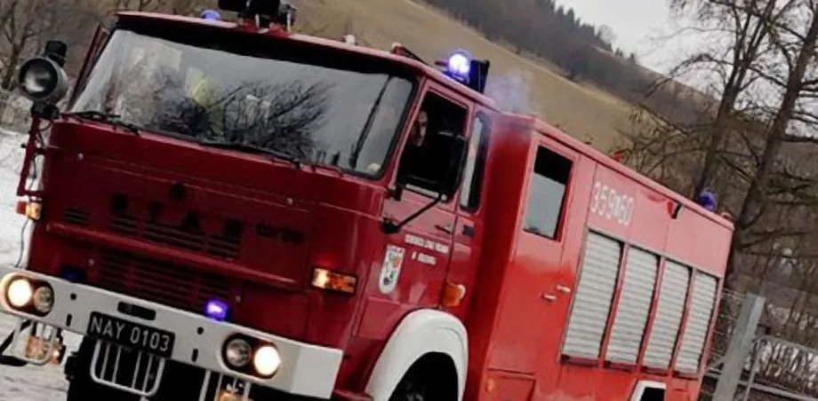 Korzenna - zwisający konar drzewa nad drogą