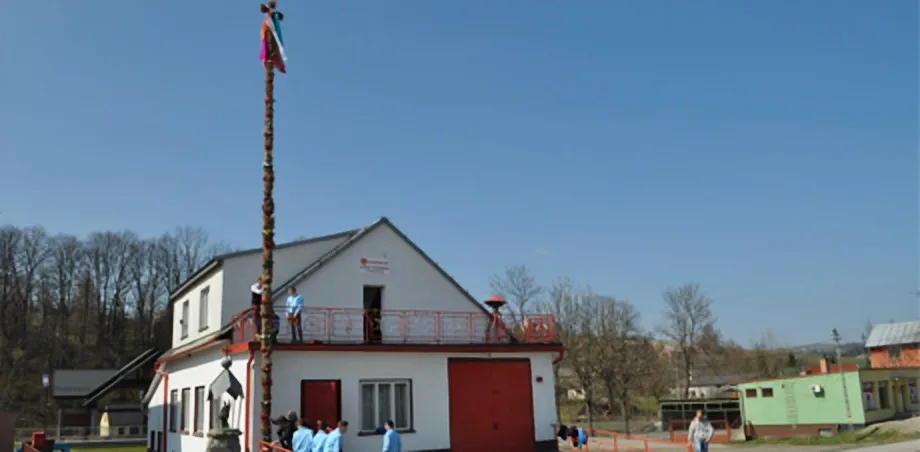 MDP ze swoją palmą.