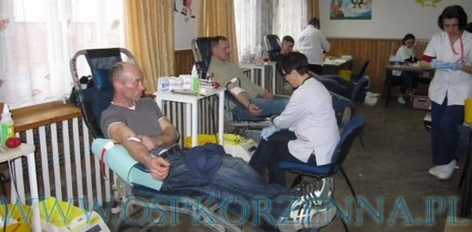 VII Edycja "Wampiraidy" za nami - podsumowanie !!!