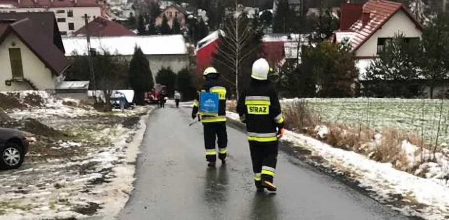 Korzenna -substancja ropopochodna na jezdni
