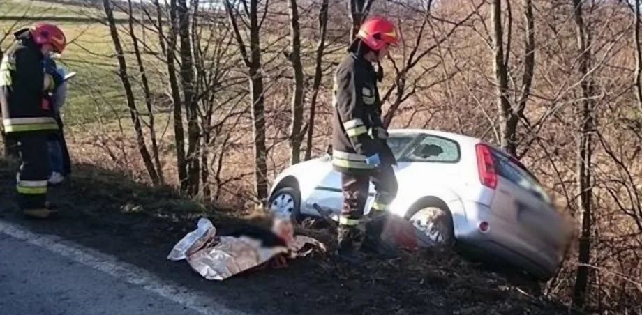 Trzycierz - samochód wypadł z drogi