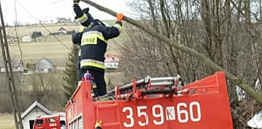 Usuwanie skutków silnego wiatru
