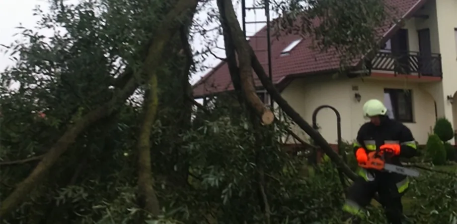 Siedlce- zwisający konar drzewa nad jezdnią.