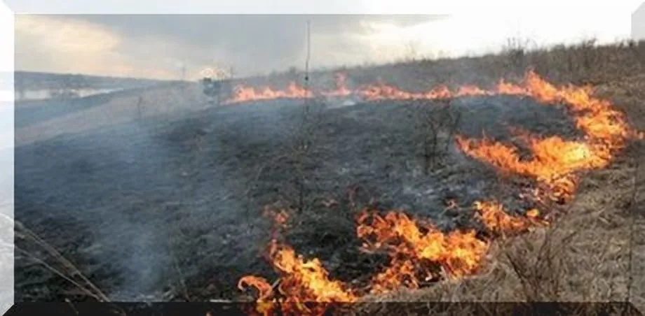 Korzenna - pożar suchej trawy.