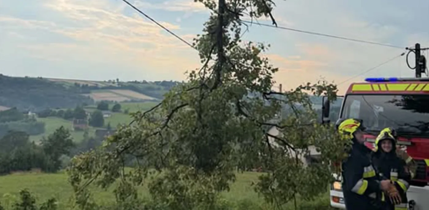 Korzenna - zwisający konar na linkach