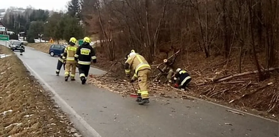 Korzenna: drzewo powalone na drogę powiatową